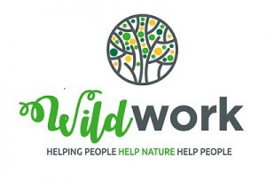 www.wildwork.ie